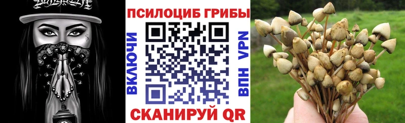 где купить наркоту  Ленинск  Галлюциногенные грибы мицелий 